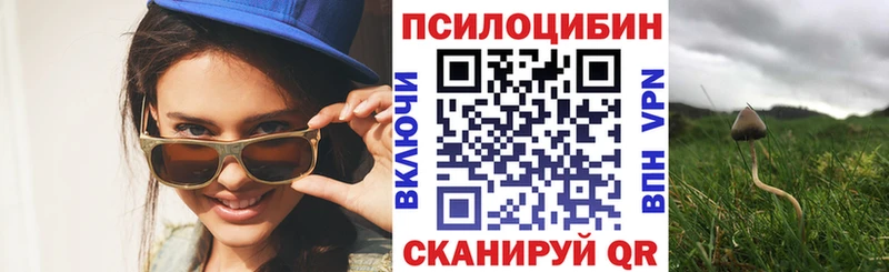 Галлюциногенные грибы Psilocybine cubensis Межгорье