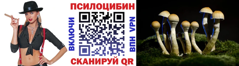 Галлюциногенные грибы GOLDEN TEACHER  Межгорье 